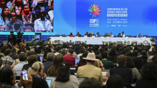 Números preocupam cientistas e agitam debate na COP16