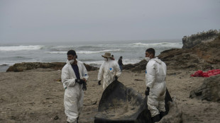 Multimillonaria demanda contra la española Repsol por el derrame de 2022 en Perú