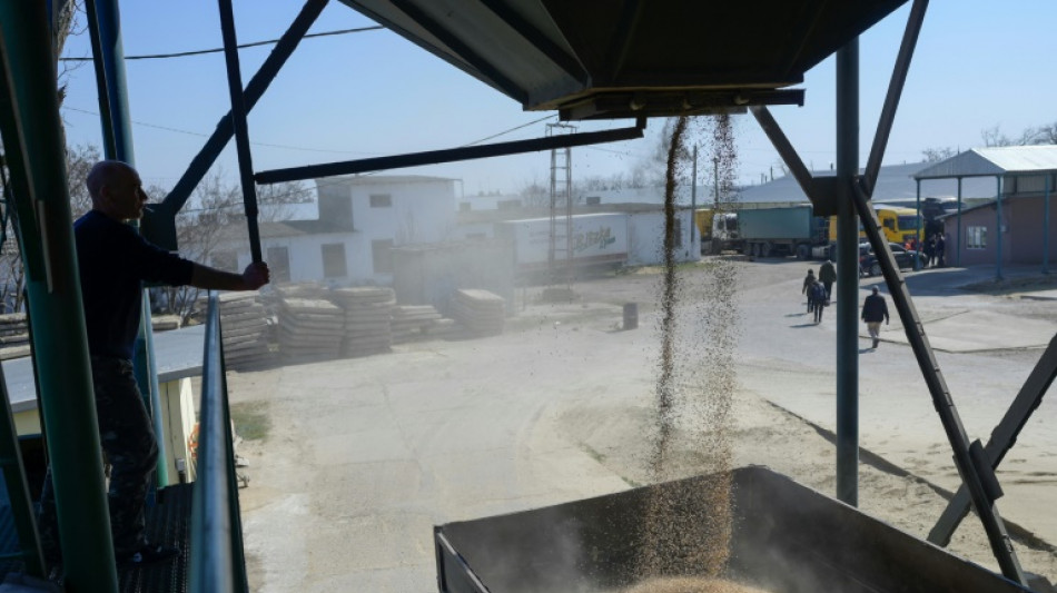 La reprise des exportations de céréales d'Ukraine est "une question de vie ou de mort", affirme Borrell