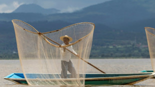 En México, rescatan el lago de Pátzcuaro con peces blancos y limpieza de manantiales