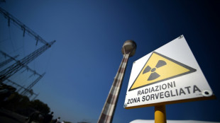 Italy breaks 'taboo' with push to revive nuclear