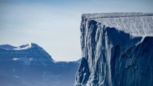 Minerals, mines, hydrocarbons: Greenland's key but limited resources