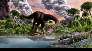 Asteroid dust caused 15-year winter that killed dinosaurs: study