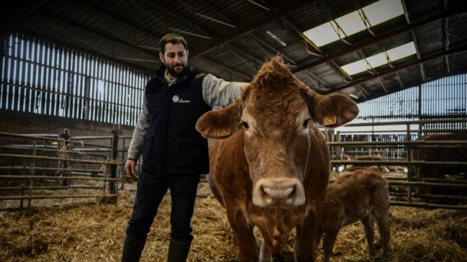 L'éleveur d'Oupette, égérie du Salon de l'agriculture, exemple d'une transmission réussie